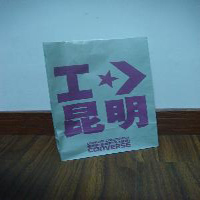 Paper gift bag 008